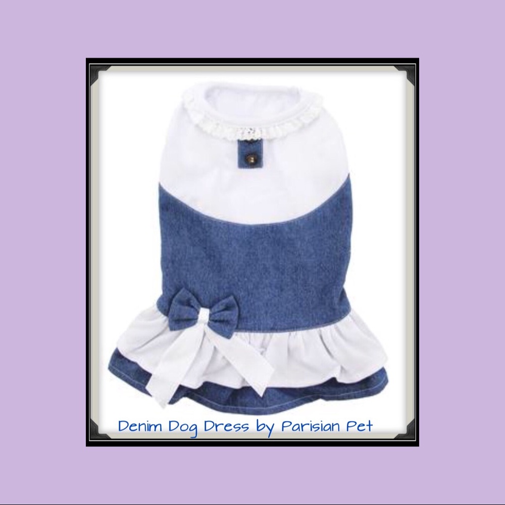 Parisian Pet Denim Dog Dress